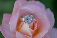 Edelstahl Ring 12mm Kessel 19,5 mm