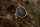 Vergoldeter Edelstahl Ring 18mm Kessel 17,0 mm